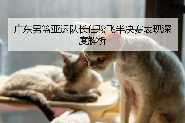 广东男篮亚运队长任骏飞半决赛表现深度解析